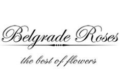 Belgrade Roses