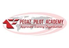 Pegaz Aviation